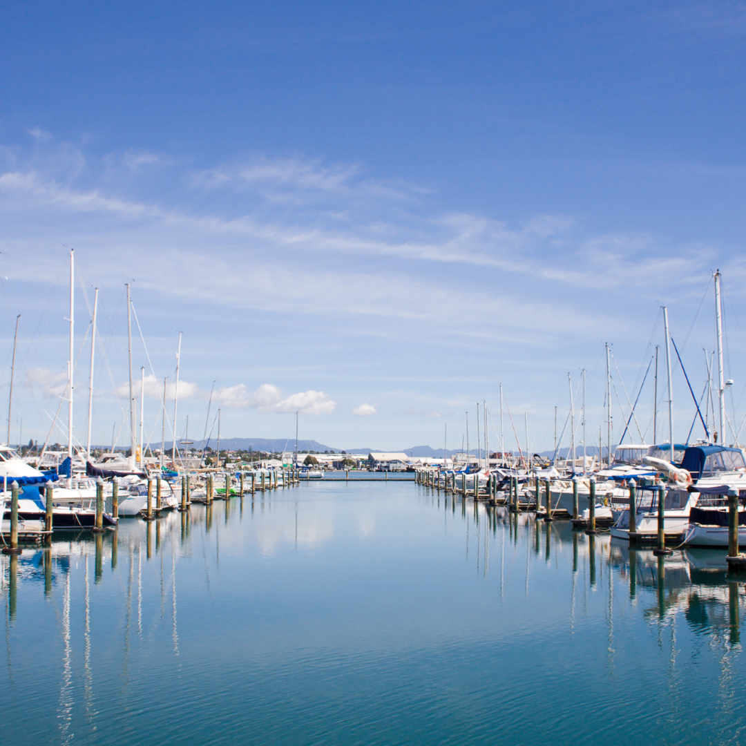 A marina from the side view showing boats along the skyline.