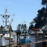 Early Warning Fire Detection Image
